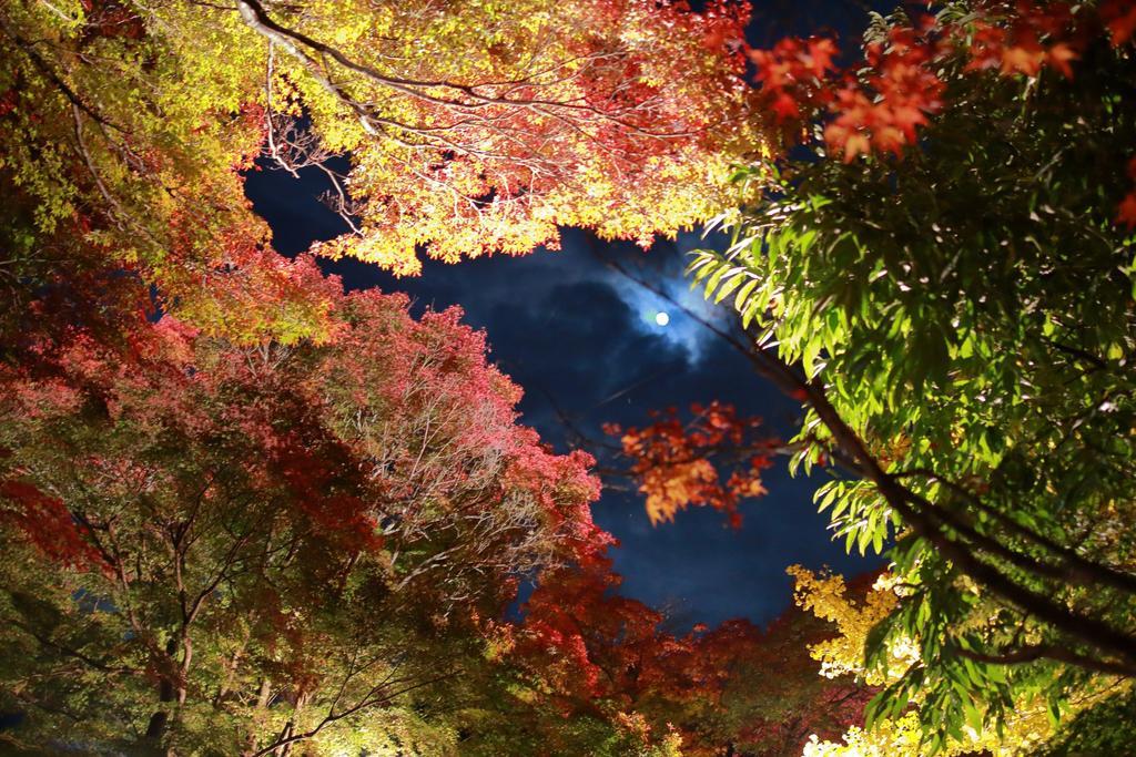 Cottage Pastorale Fujikawaguchiko Dış mekan fotoğraf