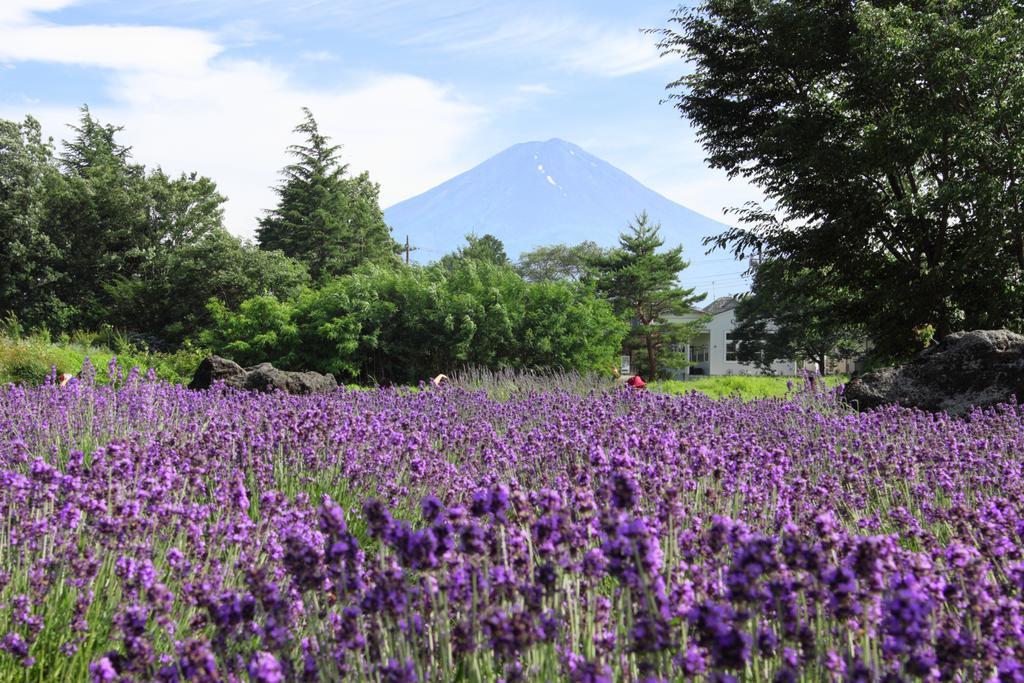 Cottage Pastorale Fujikawaguchiko Dış mekan fotoğraf
