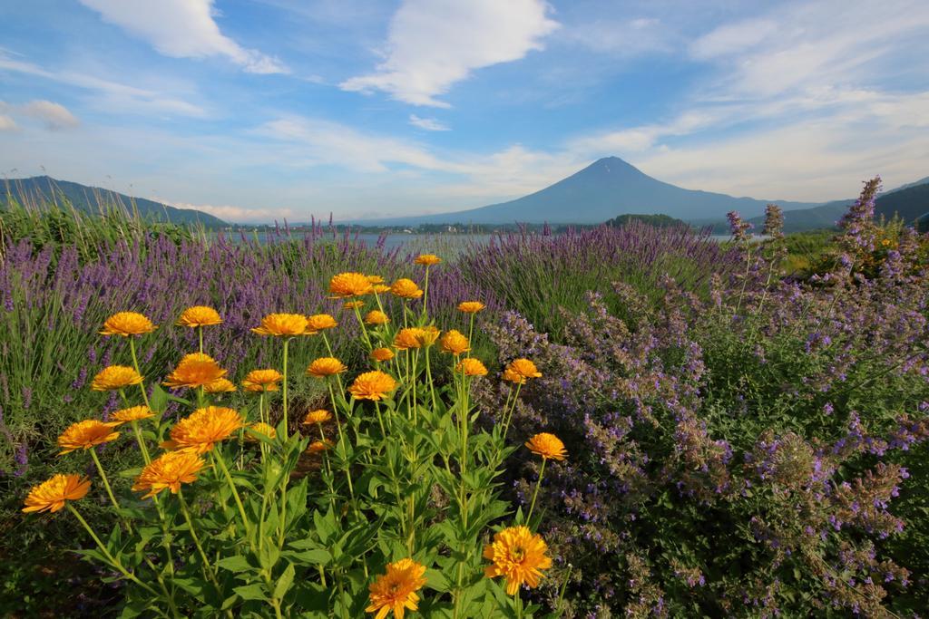 Cottage Pastorale Fujikawaguchiko Dış mekan fotoğraf