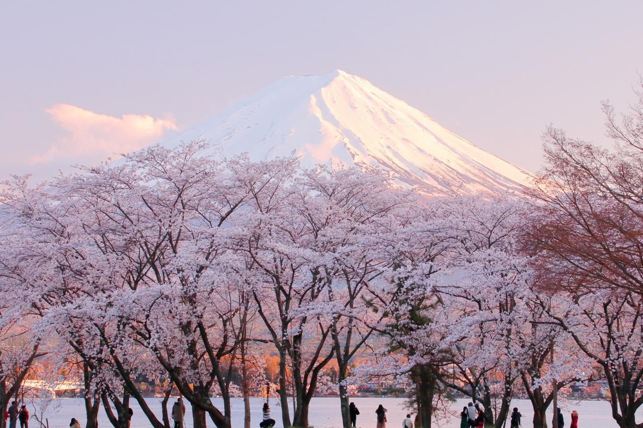 Cottage Pastorale Fujikawaguchiko Dış mekan fotoğraf